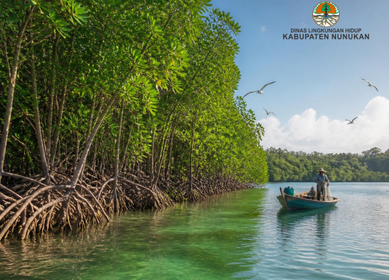 Manfaat Hutan Mangrove